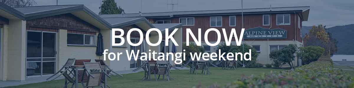 book-now for Waitangi weekend in te anau