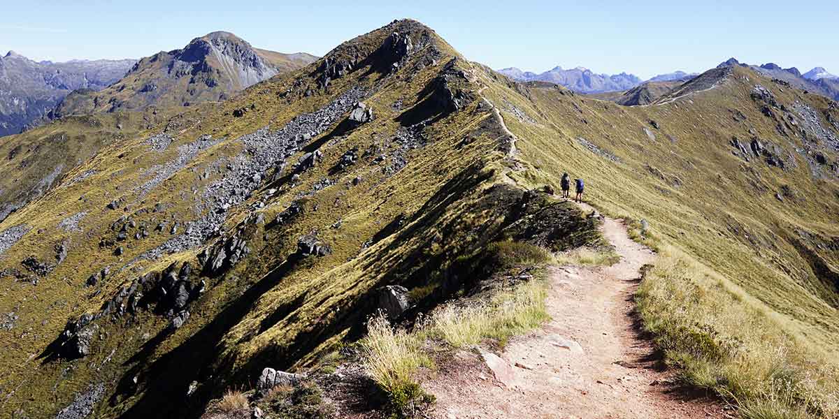 kepler track