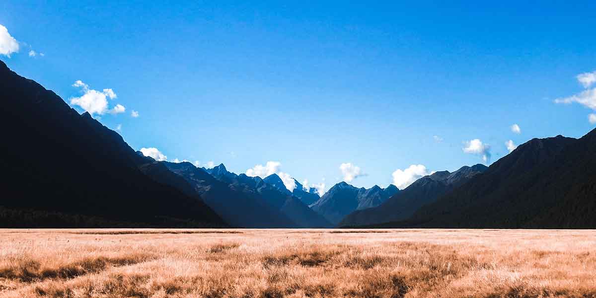 walks in fiordland