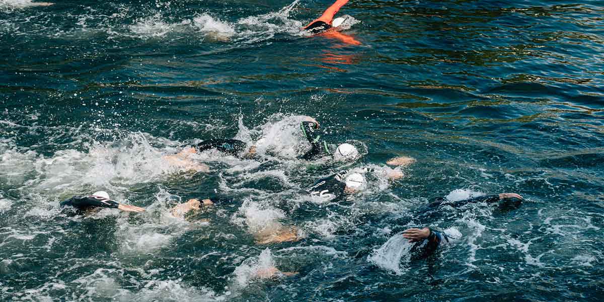 Waitangi day swimmers